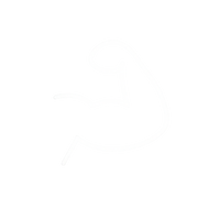 Бърза доставка